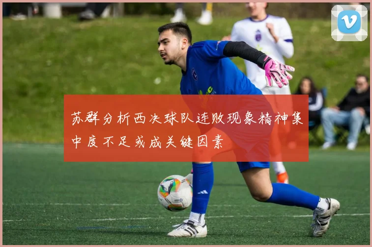 苏群分析西决球队连败现象精神集中度不足或成关键因素