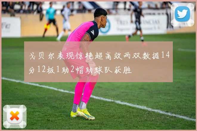 戈贝尔表现惊艳超高效两双数据14分12板1助2帽助球队获胜