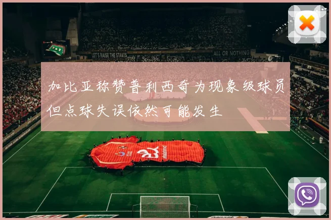 加比亚称赞普利西奇为现象级球员但点球失误依然可能发生