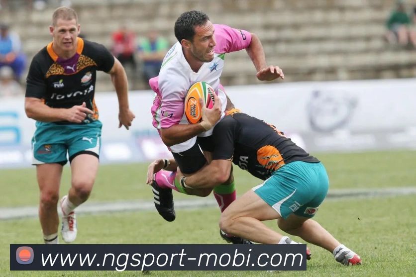 南宫体育平台生态图