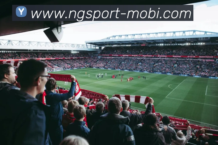 南宫体育全站App